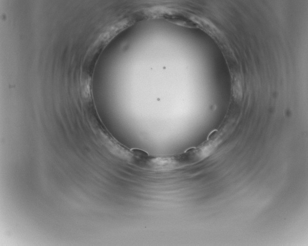 X0000069840477200606021406