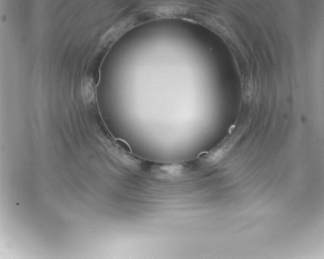 X0000069840478200606021406