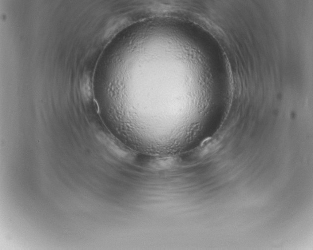 X0000069840479200606021406