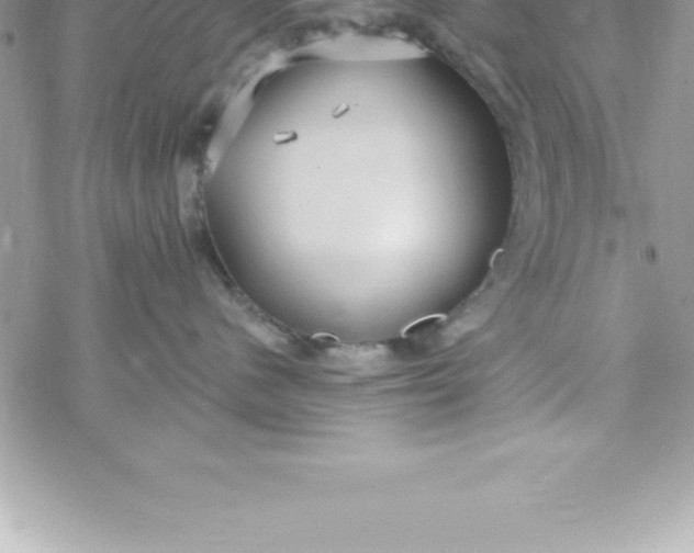 X0000069840480200606021406