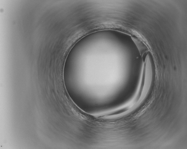 X0000069840481200606021405