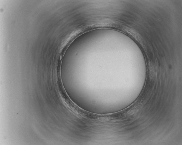 X0000069840482200606021405