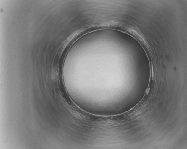 X0000069840483200606021405