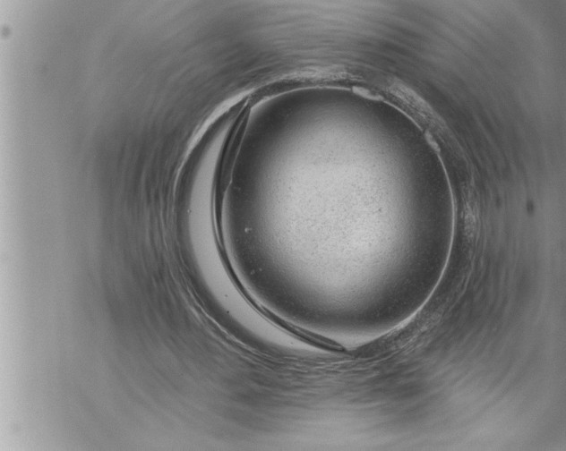 X0000069840484200606021405