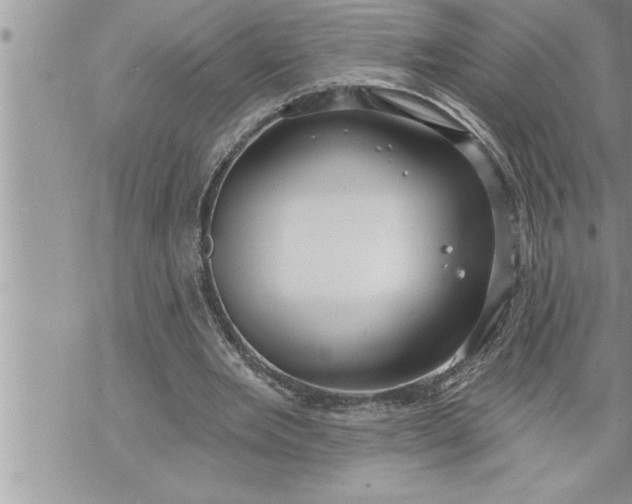 X0000069840485200606021405