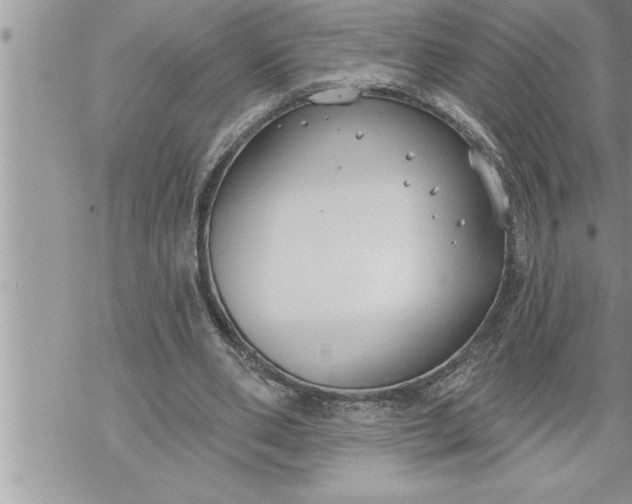 X0000069840486200606021405