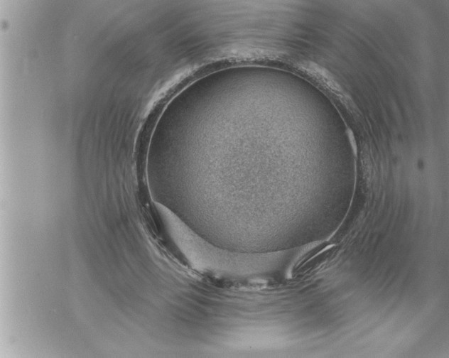 X0000069840488200606021405