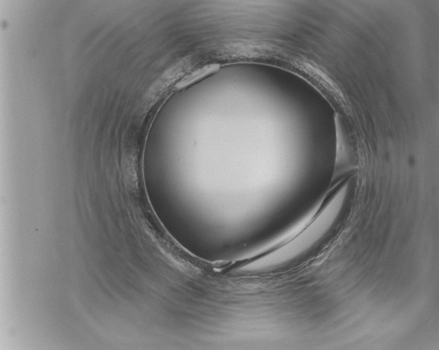 X0000069840489200606021405