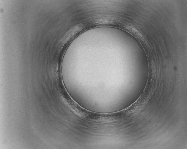 X0000069840490200606021405