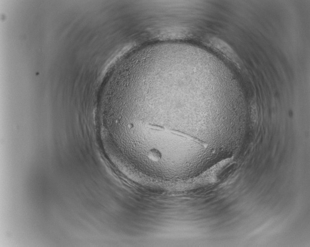 X0000069840491200606021405