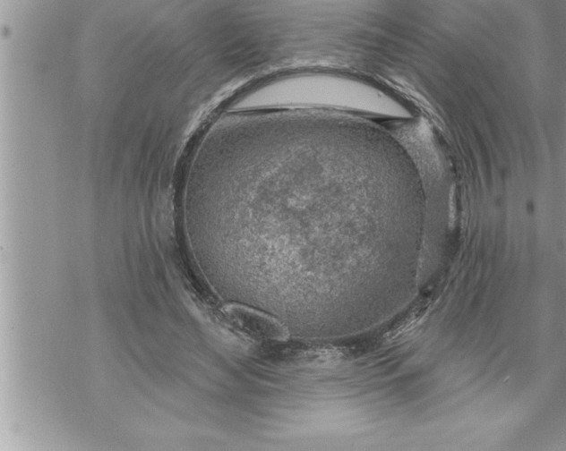 X0000069840492200606021405