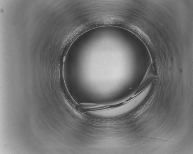 X0000069840493200606021405