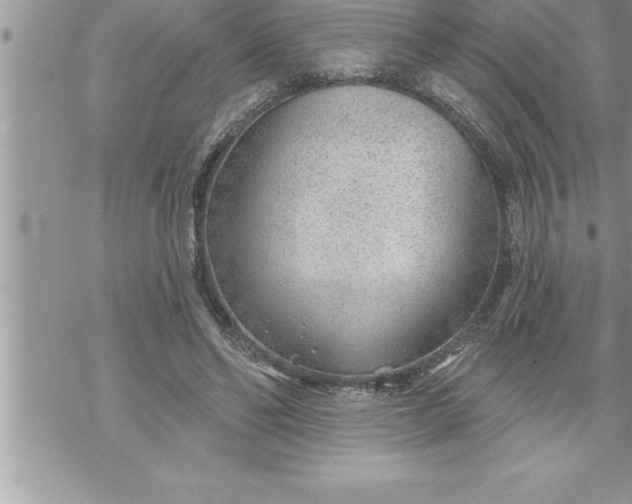 X0000069840494200606021405