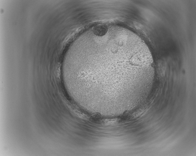 X0000069840495200606021405