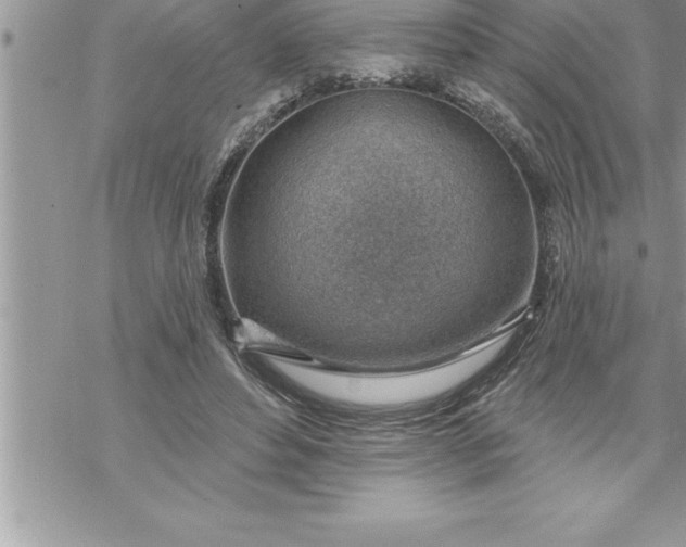 X0000069840496200606021405