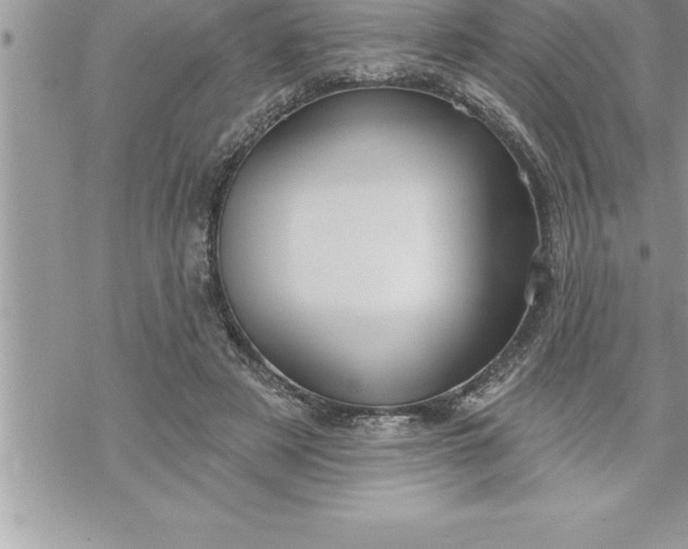 X0000069840497200606021405