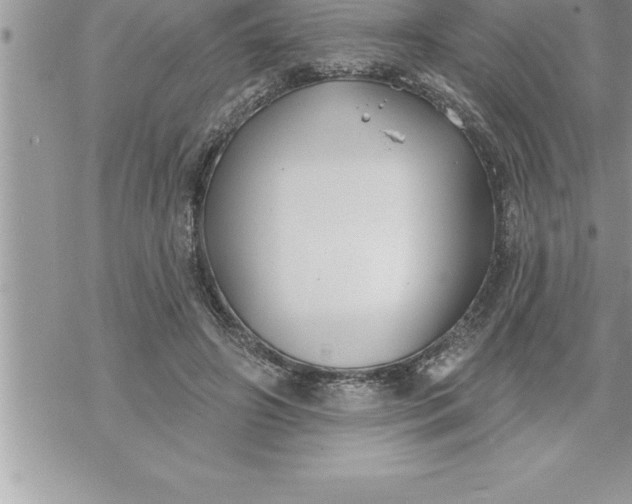 X0000069840498200606021405