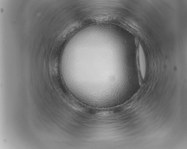 X0000069840499200606021405