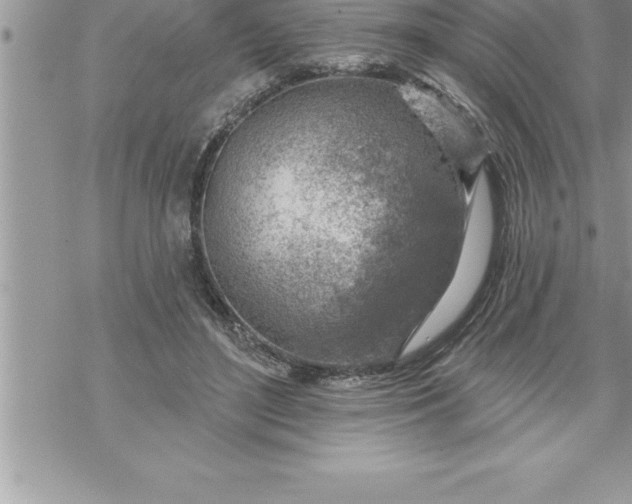 X0000069840500200606021405