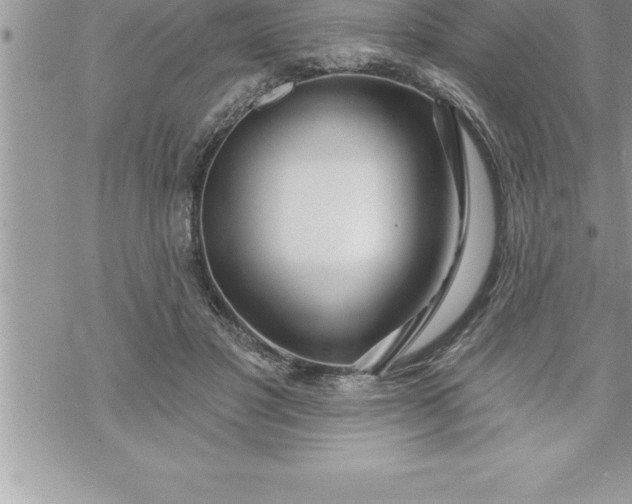 X0000069840501200606021405