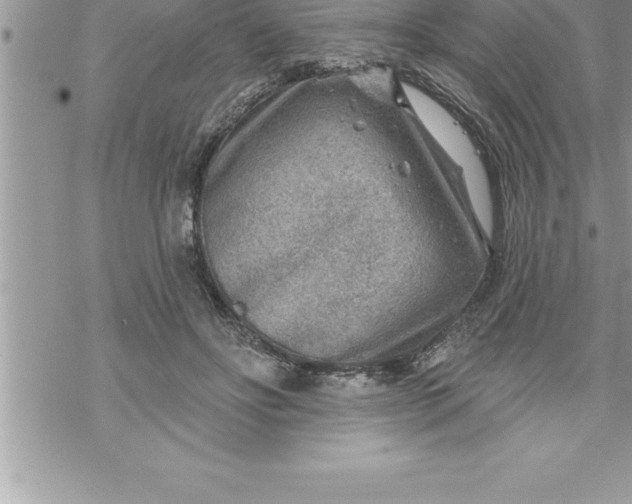 X0000069840502200606021405