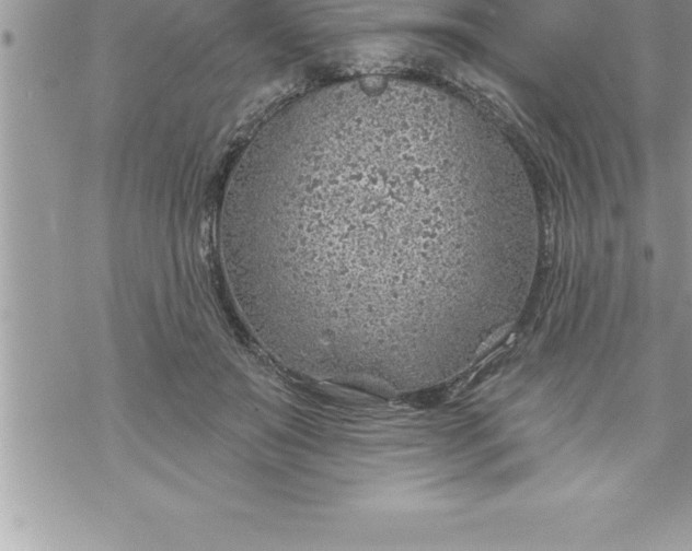 X0000069840503200606021405