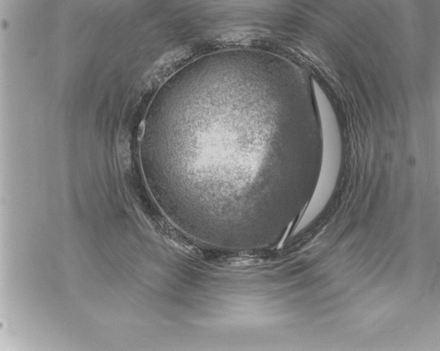 X0000069840504200606021405