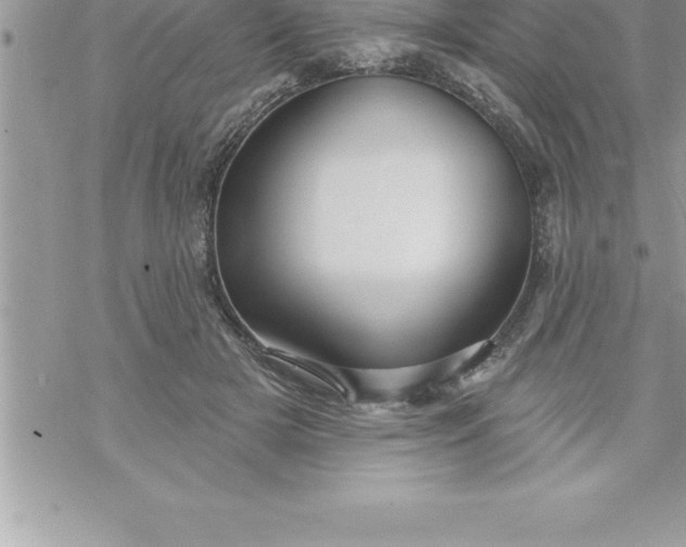 X0000069840505200606021405