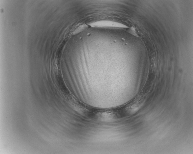 X0000069840506200606021405