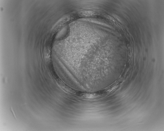 X0000069840507200606021405