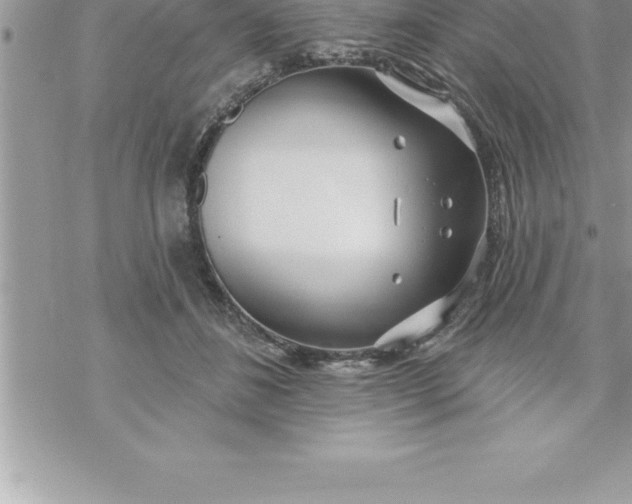 X0000069840508200606021405