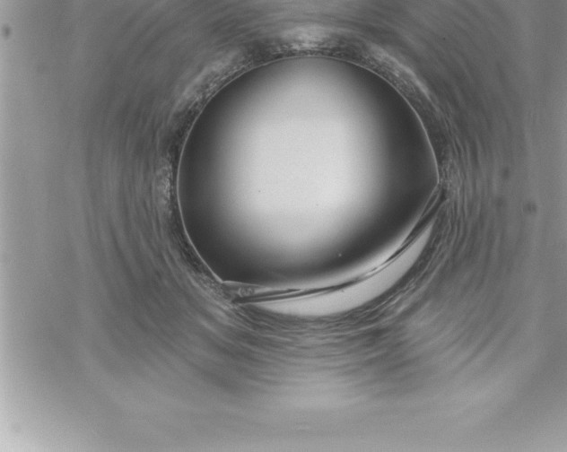 X0000069840509200606021405