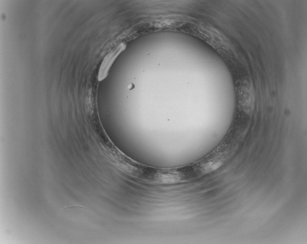 X0000069840510200606021405