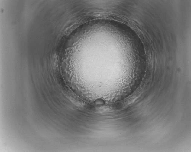 X0000069840511200606021405