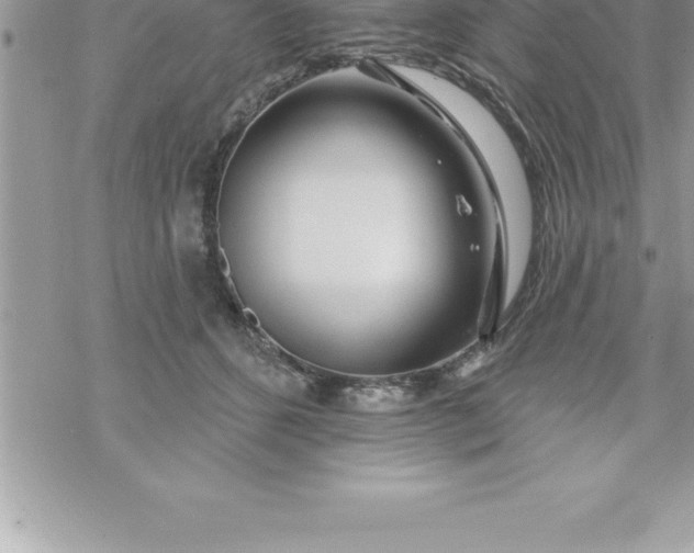 X0000069840512200606021405