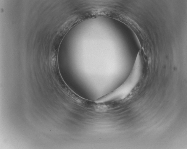 X0000069840513200606021405