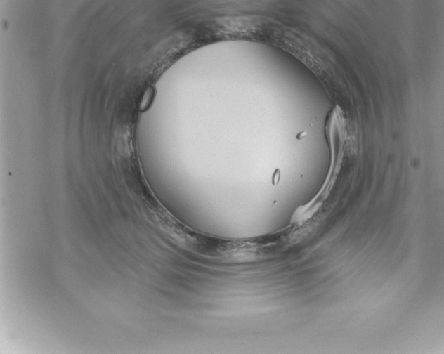 X0000069840514200606021405