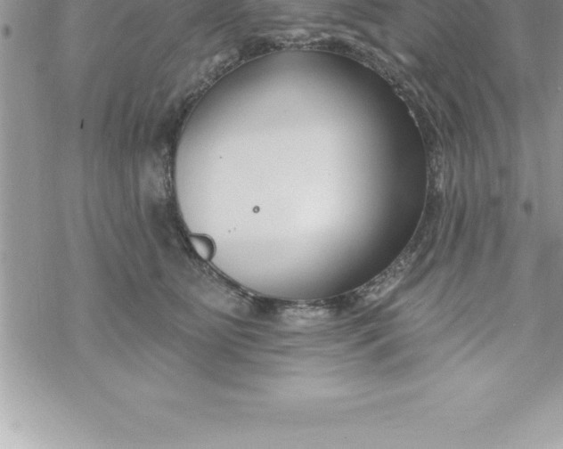 X0000069840515200606021405