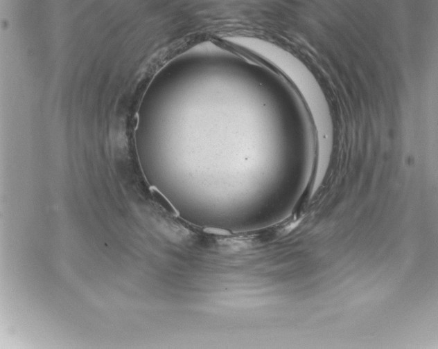 X0000069840516200606021405