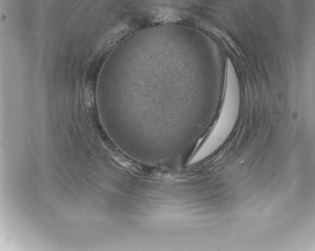 X0000069840517200606021405