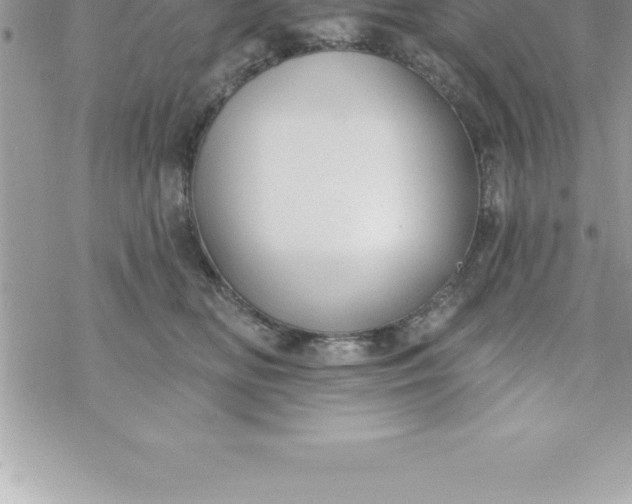 X0000069840518200606021405