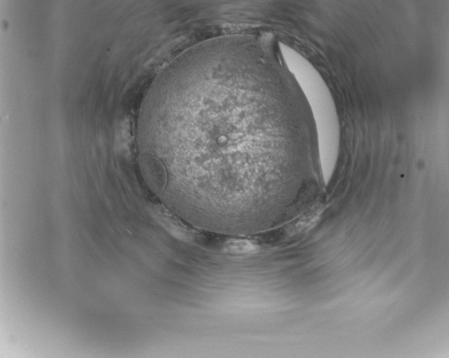 X0000069840519200606021405