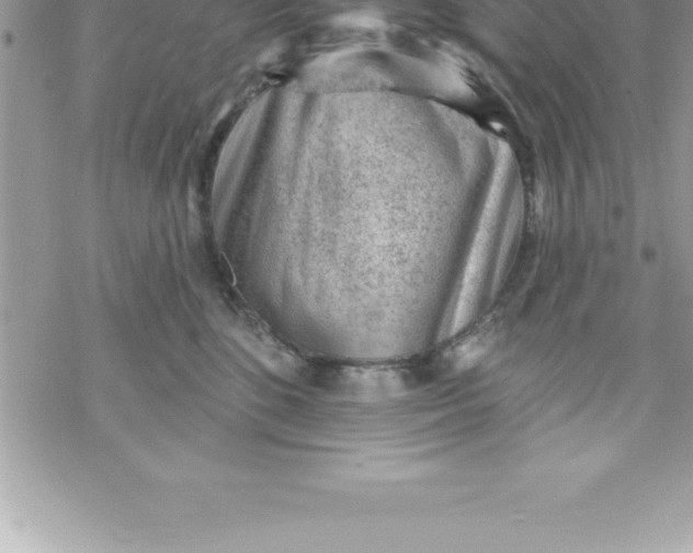 X0000069840520200606021405