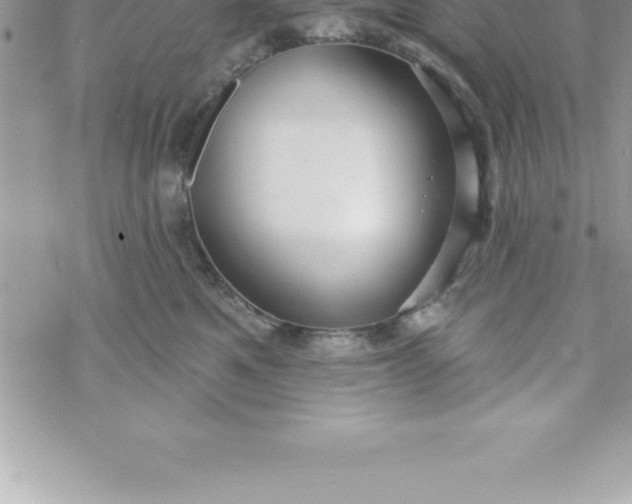 X0000069840521200606021405