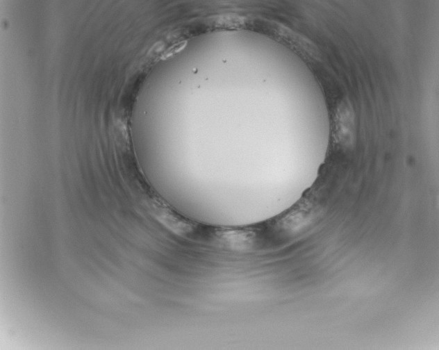 X0000069840522200606021404