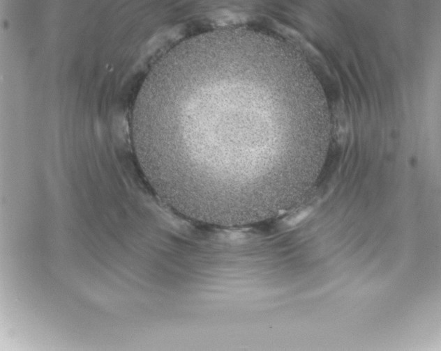 X0000069840523200606021404