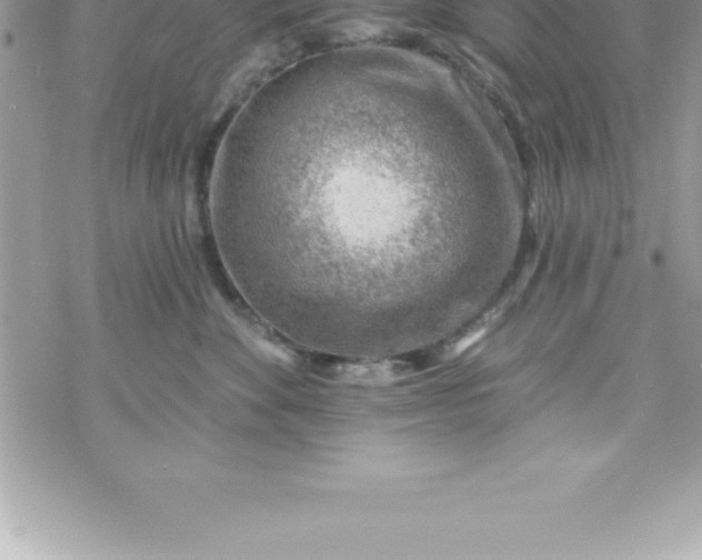 X0000069840524200606021404