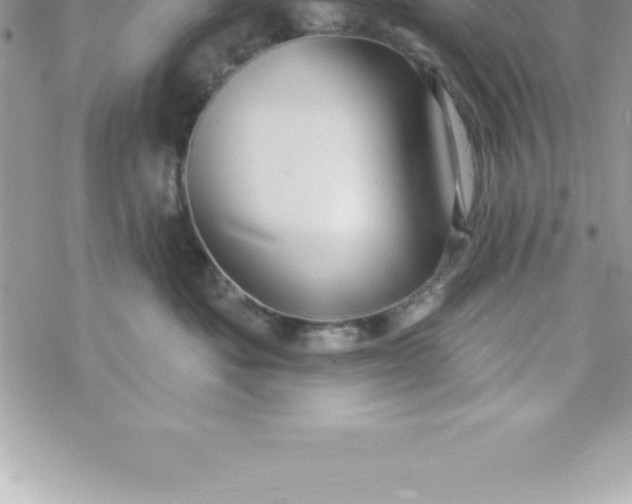 X0000069840525200606021404