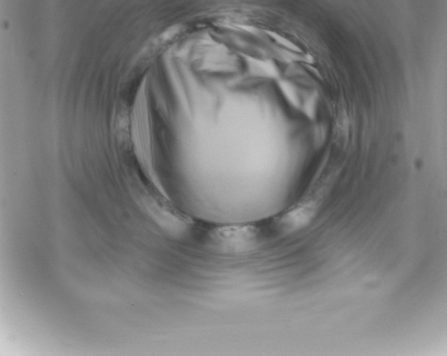 X0000069840526200606021404