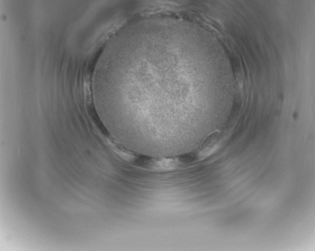 X0000069840527200606021404